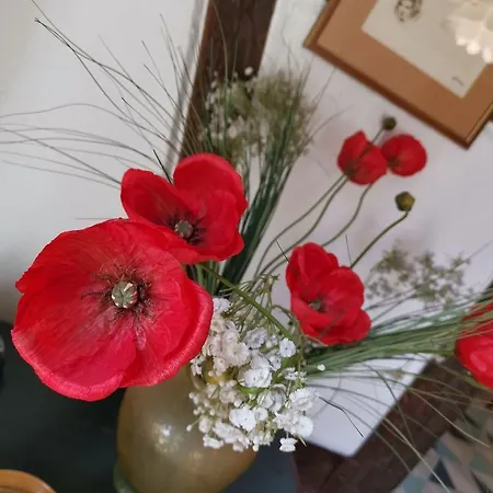 Apartament Maison Cliquot - Centre
