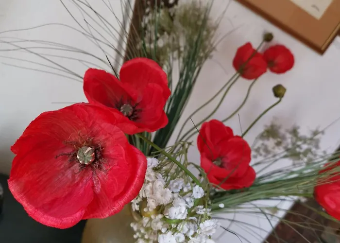 Apartment Maison Cliquot - Centre