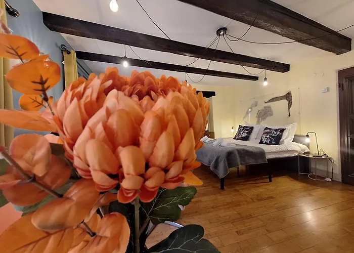 Apartment Maison Cliquot - Centre *